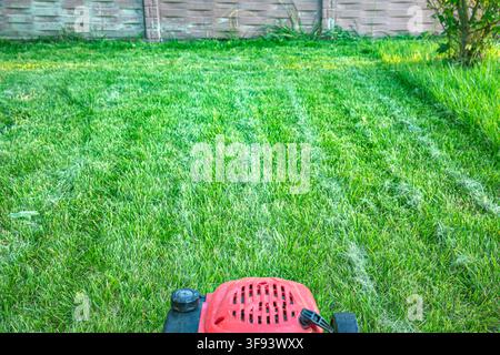 asoline lawn mower standing on freshly cut grass in sunny garden Stock Photo