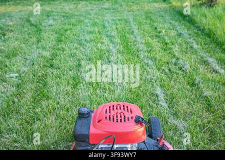 asoline lawn mower standing on freshly cut grass in sunny garden Stock Photo