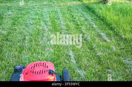 asoline lawn mower standing on freshly cut grass in sunny garden Stock Photo