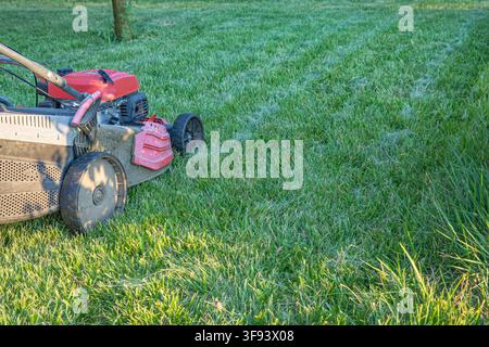asoline lawn mower standing on freshly cut grass in sunny garden Stock Photo