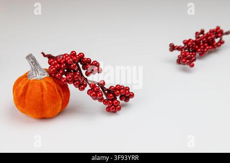 A vibrant autumn composition featuring a small orange velvet pumpkin and a red berry branch. The warm fall colors and soft fabric texture create a coz Stock Photo