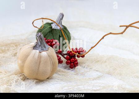 An artistic autumn arrangement featuring two handcrafted pumpkins, a red berry branch, and a slender dry twig. Set on a white spider web background, t Stock Photo