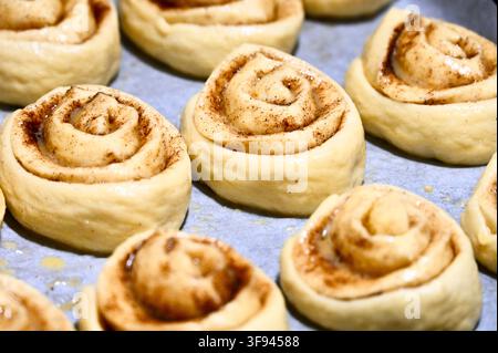 Commercial close-up photograph of raw, unbaked cinnamon rolls creatively shaped like roses, arranged neatly on a baking sheet lined with parchment paper, ready for the oven. Stock Photo