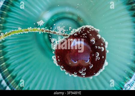 Cherry Floating in Sparkling Water with Bubbles Macro Background Stock Photo