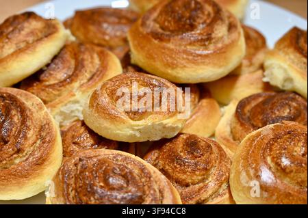 Commercial close-up photograph of an abundant plate of delicious, freshly baked golden-brown cinnamon rolls, showcasing their appealing spiral textures and appetizing crusts on a white plate.  Stock Photo