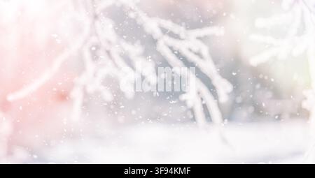 Frosted branches and falling snow glowing in warm winter light, festive background Stock Photo