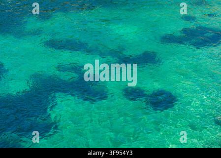 Clear turquoise water of Calanque de Port-Miou in the Mediterranean Sea near Cassis, Bouches-du-Rhône, Provence-Alpes-Côte d'Azur, France. Stock Photo