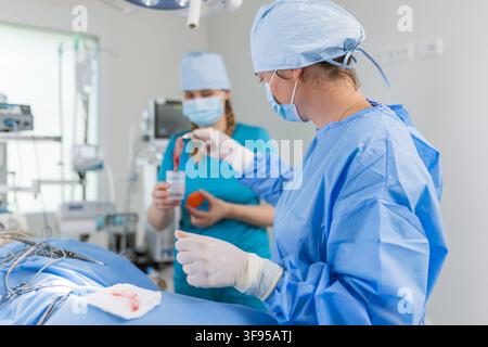 A female surgeon works with a surgical team on a patient in an operating room. They use sterile instruments and focus on the surgery. Stock Photo