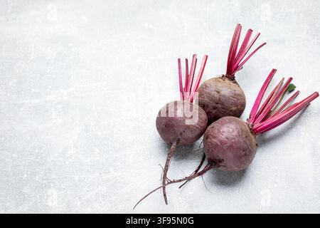 Whole young beets on gray textured table, flat lay. Space for text Stock Photo