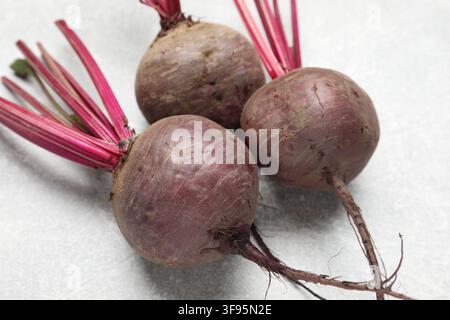 Whole young beets on gray table, closeup Stock Photo