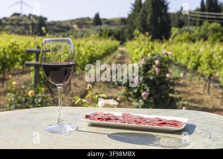 A glass of red wine sits on a stone table next to a plate of sliced meat. In the background, a vineyard stretches under a clear blue sky Stock Photo
