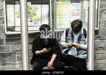 Asian students wearing protective face masks staring at their phones while waiting for a bus at the Limerick University bus stop in Limerick, Ireland Stock Photo