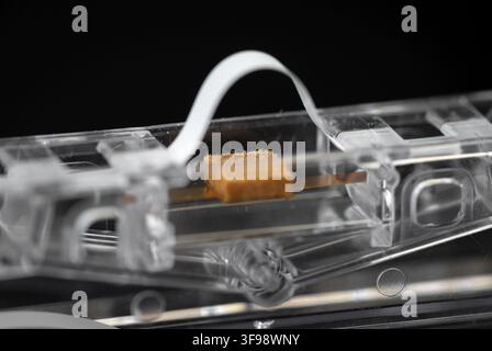 Magnetic tape head opening and pressure pad close up of audio cassette details Stock Photo