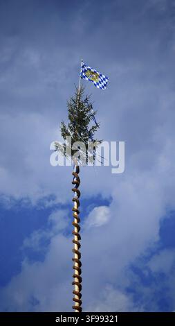 Bavarian traditional maypole with Bavarian flag against blue sky with clouds, Windischeschenbach, Upper Palatinate Stock Photo