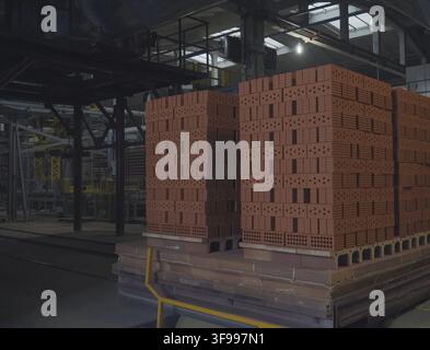 Exit the bricks from the oven for roasting. Brickworks Stock Photo