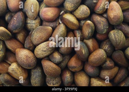 Close-up of a bunch of pine nuts (Pinus cembroides). Chihuahua, México. Concept: piñones, seeds, piñón, pinyon pine, pino mexicano, mexican pinyon Stock Photo