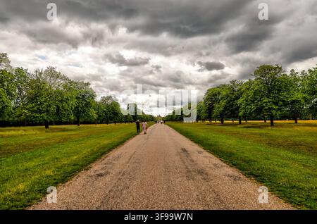 Visitors walk along the Long Walk through the expansive tree-lined parkland of Windsor Great Park. Stock Photo
