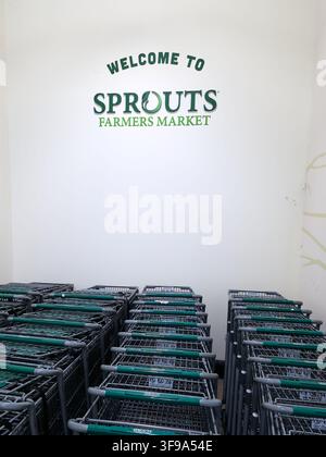 ADDISSON, TX, USA - JULY 26, 2026: A display of shopping carts lined up beneath a 'Welcome to Sprouts Farmers Market' sign. Sprouts is known for its f Stock Photo