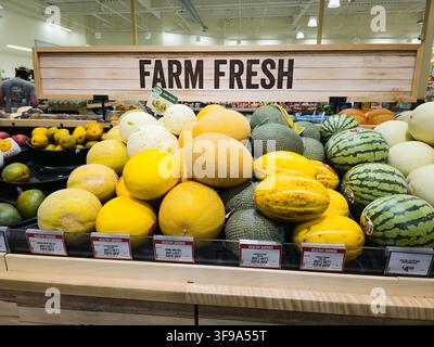 ADDISSON, TX, USA - JULY 26, 2026: A display of assorted melons including honeydew, cantaloupe, and watermelons beneath a 'Farm Fresh' sign in a groce Stock Photo