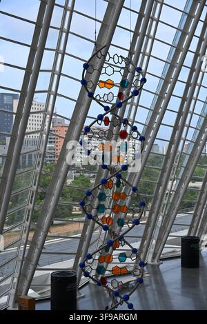 Large DNA Double Helix Model Stock Photo