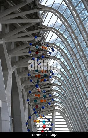 Large DNA Double Helix Model Stock Photo