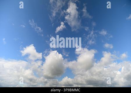 Fluffy white clouds float gently in the clear blue sky, embodying a tranquil day filled with sunlight. The atmosphere feels calm and inviting, perfect Stock Photo