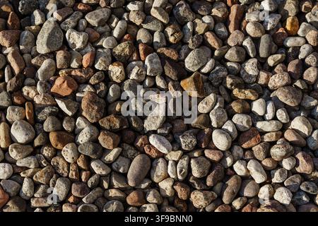 Closeup of scattered natural pebbles and gravel stones, featuring varied brown and grey tones for architectural or landscape textures Stock Photo