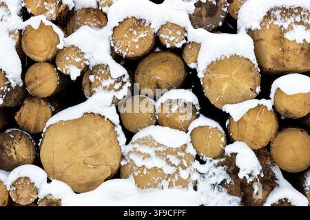 Frontal texture view of a stack of cut wooden logs covered in white snow during winter, forestry background pattern Stock Photo