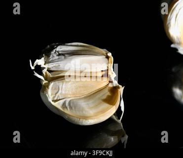 A high-quality commercial studio photograph of a single, freshly cut half-head of a whole, unpeeled raw white garlic bulb. The papery outer white skin is intact and curled, revealing the tightly packed, unpeeled creamy-white inner cloves. The half-bulb rests on a mirror-like glossy black surface, creating a sharp reflection. Precise lighting highlights the textures of the dry skin and fresh cloves against the deep black background. Stock Photo