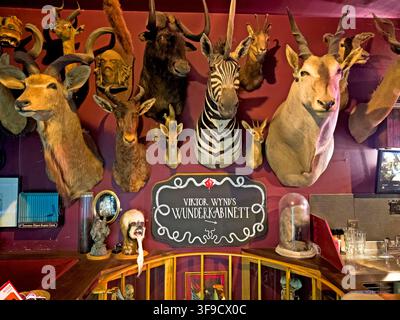Animal taxidermy in Viktor Wynd's Wunderkabinett at the Museum of Curiosities and Last Tuesday Society, Hackney, London Stock Photo