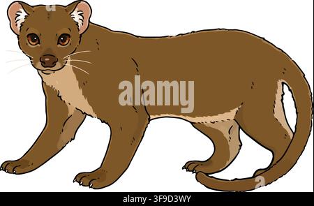 Cute illustration of Fossa hand drawn Stock Vector