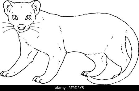Cute line art illustration of Fossa hand drawn Stock Vector
