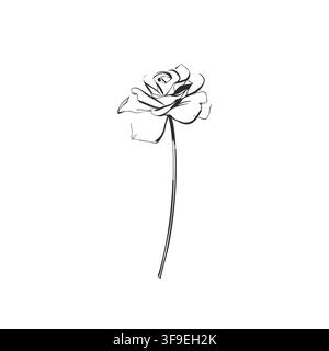 Hand Drawn Floral and Botanical Line Art Vector Set, Elegant Flowers and Leaves, Minimalist Outline Illustrations, Decorative Elements for Wedding Stock Vector