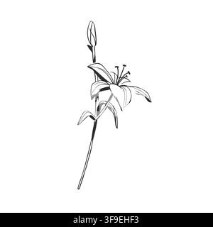 Hand Drawn Floral and Botanical Line Art Vector Set, Elegant Flowers and Leaves, Minimalist Outline Illustrations, Decorative Elements for Wedding Stock Vector