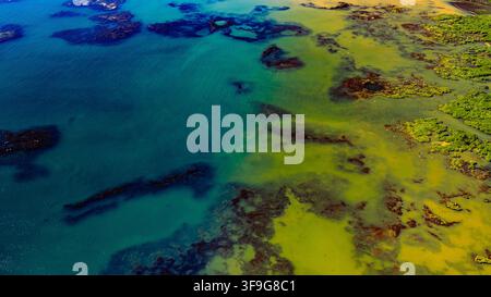 Aerial view of coastal waters with vibrant green seaweed patches, deep blue sea, and rocky shoreline Stokkseyri, Sveitarfelagid Arborg, Iceland. Stock Photo