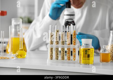 Soybean and corn seeds in test tubes with a scientist examining samples under a microscope in a laboratory, Various lab equipment, including beakers w Stock Photo