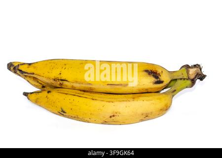 Two ripe yellow plantains lying side by side, isolated on a white background Stock Photo