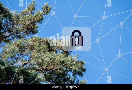 Concept of environmental data security with a locked padlock icon overlaid on a pine tree under a bright blue sky Stock Photo