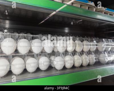 White eggs packaged in clear containers on a refrigerated display rack in a grocery store, representing healthy food shopping and a consistent supply Stock Photo