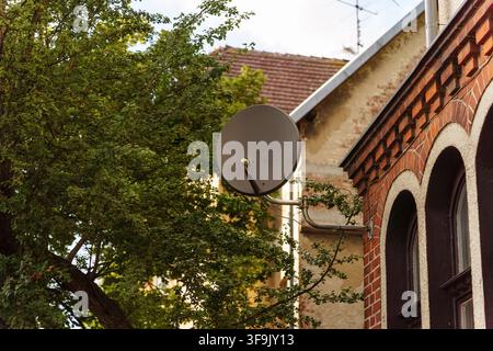 Satellite dish mounted on an old brick building facade next to a tree, representing modern telecommunications and global signal reception Stock Photo