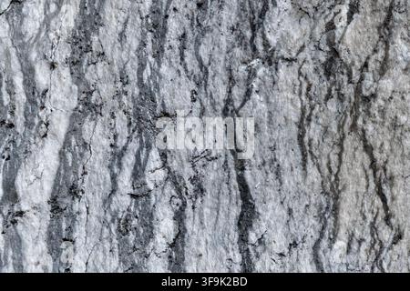 Detailed macro shot of natural stone surface with black streaks and cracks, organic nature texture photo Stock Photo