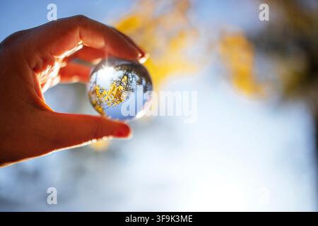 Hand with a glass sphere captures reflections of autumn leaves and blue sky, illuminated by sunlight creating a blurred background effect. Conscious C Stock Photo