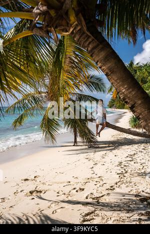 A man sits on a leaning palm tree along a beach in Maldives Stock Photo