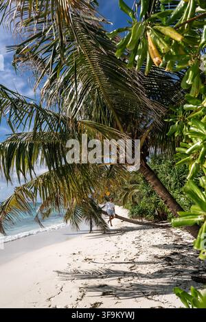 Man sitting on leaning palm tree along sandy beach in Maldives Stock Photo
