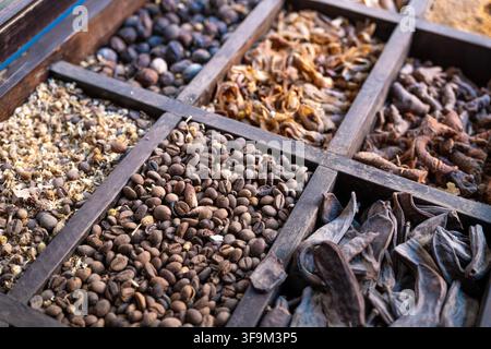 assorted coffee beans dry herbs spices and carob pods displayed in wooden tray compartments at traditional market in Morocco, close up, selective focu Stock Photo