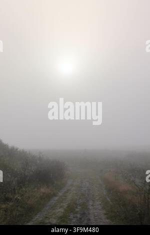 Muddy Path at the Base of a Low Hill on a Misty Morning, Drenthe Stock Photo