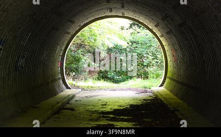 Corrugated steel rail underpass framing lush, green woodland scenery in Scottish Highlands Stock Photo