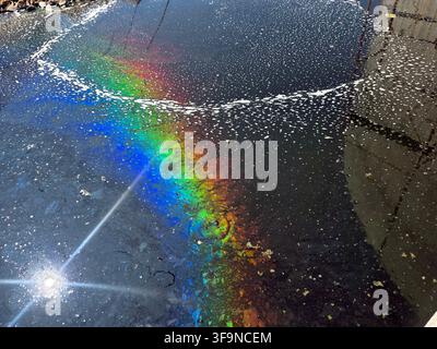 A thin film of oil or fuel on a calm water surface exhibits vibrant rainbow colors reflecting light beautifully in a serene outdoor setting. Stock Photo