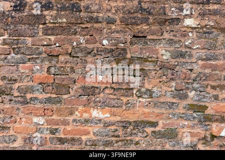 Close up of an aged brick wall built from irregular red and brown bricks, showing eroded mortar, moss growth and rough weathered surfaces. Stock Photo