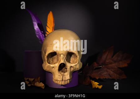Centered skull with autumn leaves and colorful feathers on black background for Halloween horror banner or gothic seasonal design Stock Photo